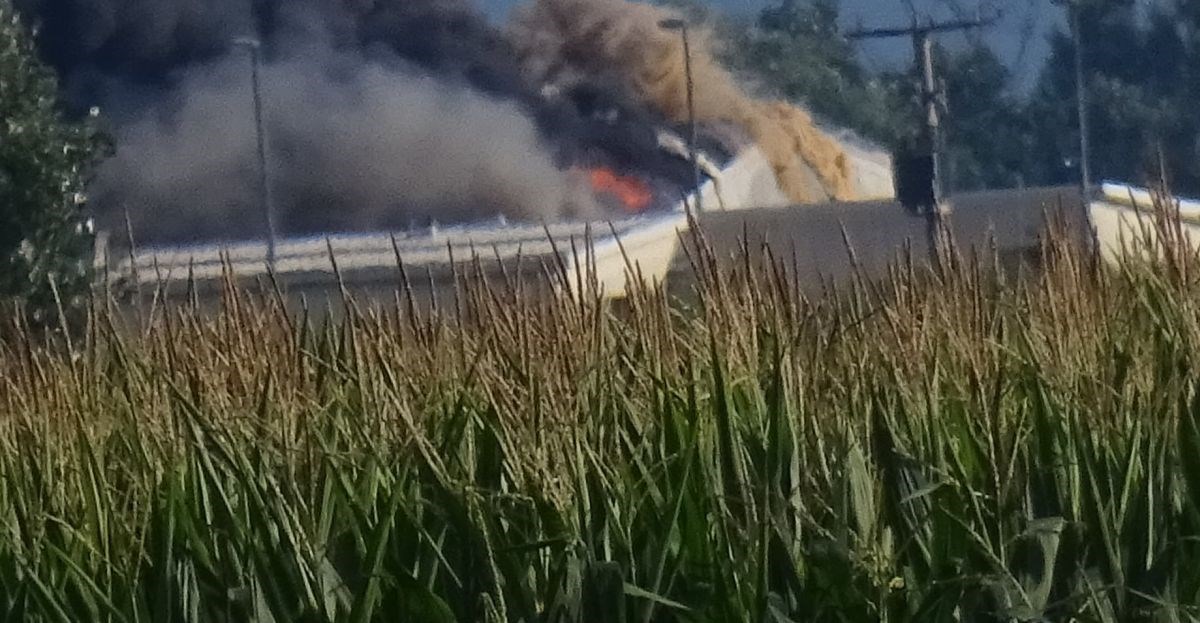 VIDEO Veliki požar na PIK-ovoj farmi u Vinkovcima, izgorjelo više od 1000 svinja?