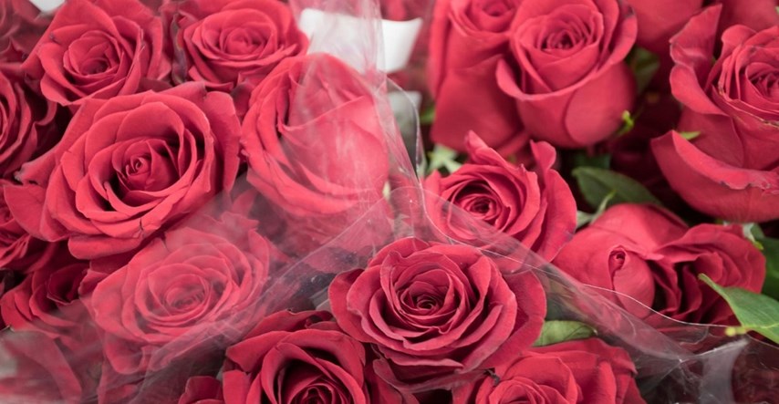 U Hrvatskoj se ove veljače očekuje uvoz više od milijun ruža