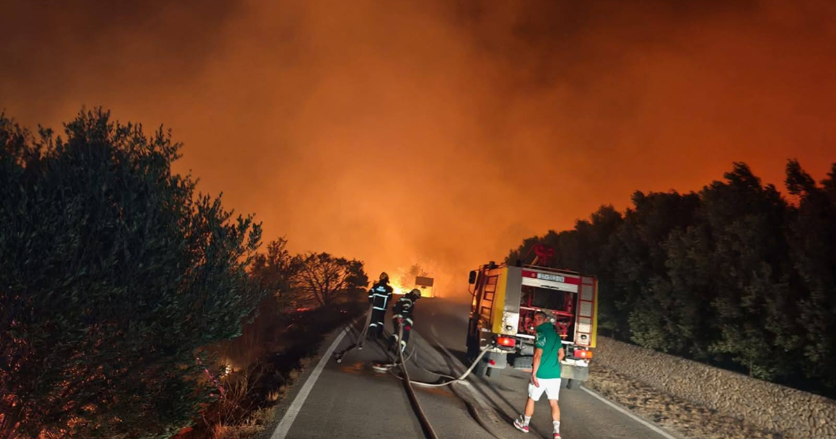 Požar kod Zlatnog rata izazvali Šveđani koji su roštiljali