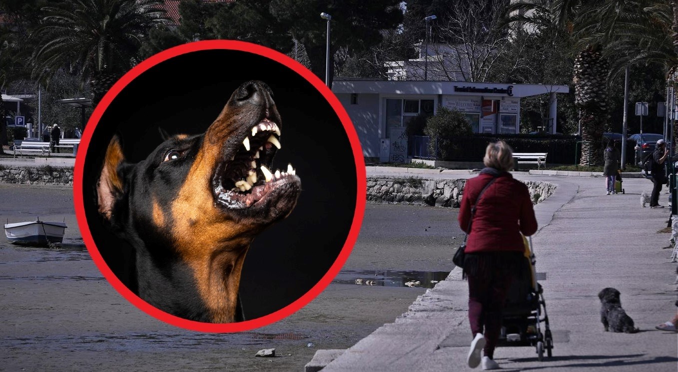 Doberman nasmrt izgrizao šnaucera u Stobreču