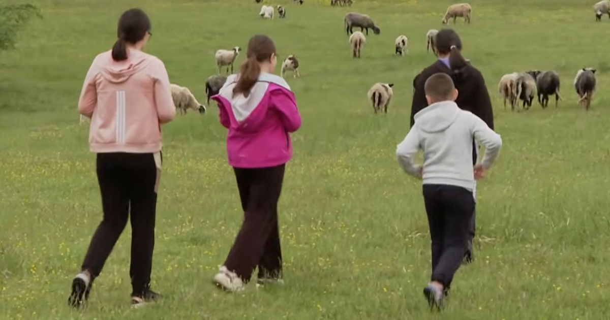 Obitelj iz Topuskog: Zbog Pantheona nas žele izbaciti iz kuće. Ovo je gore od rata