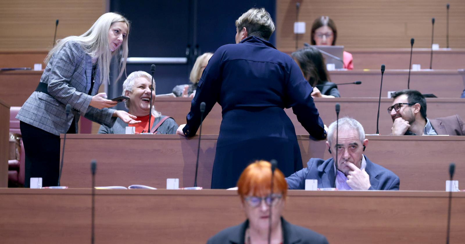 Vlada odbila prijedlog stranke Možemo o digitalnoj zaštiti djece