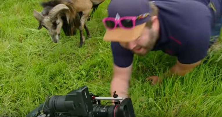 VIDEO BBC-jev kamerman snimao kozu pa dobio udarac tamo gdje najviše boli