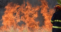 Lokaliziran požar kod Zatona, izgorjelo osam hektara