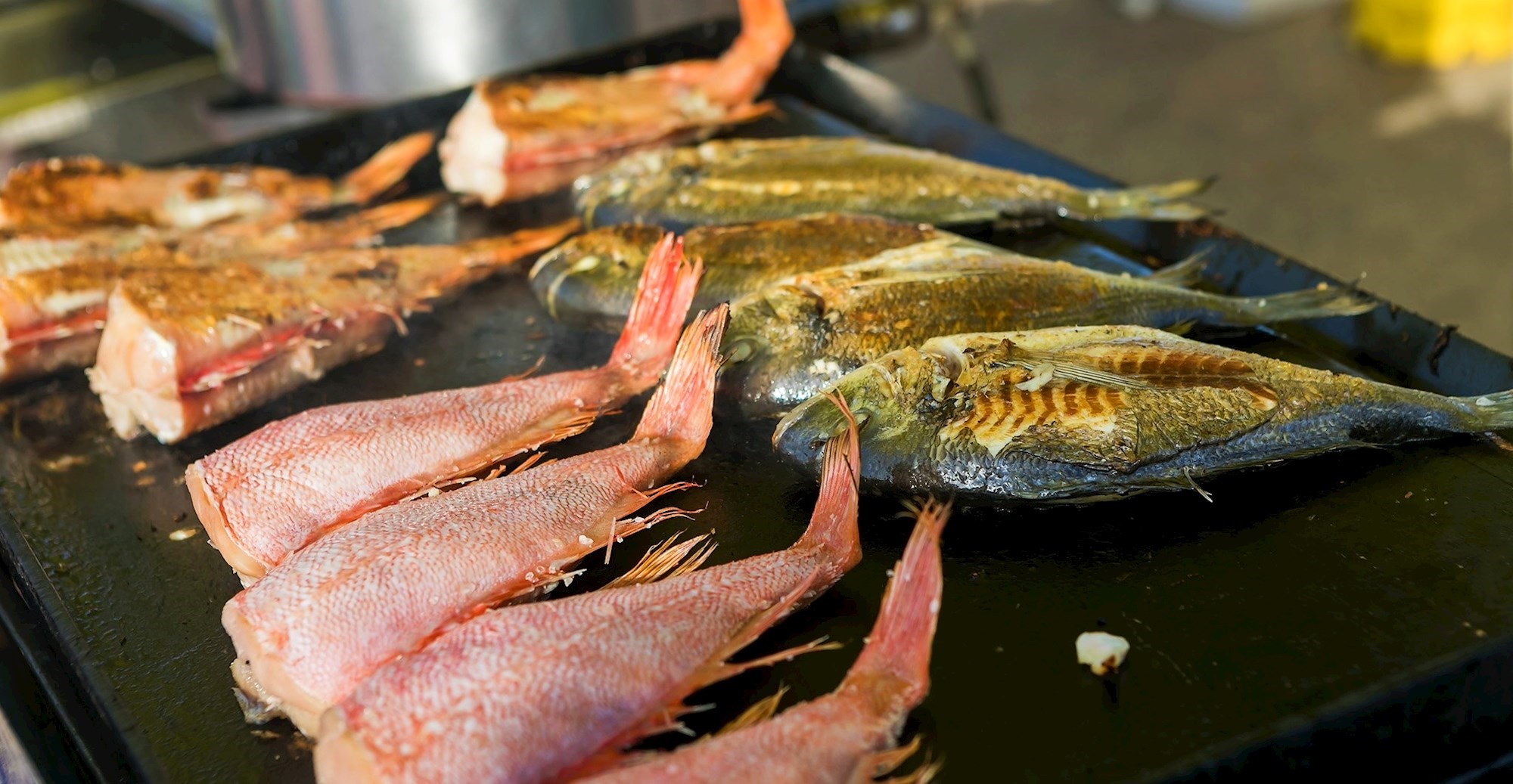 Manifestacije zbog kojih ovog svibnja (ali i cijelo ljeto) vrijedi posjetiti Vrsar