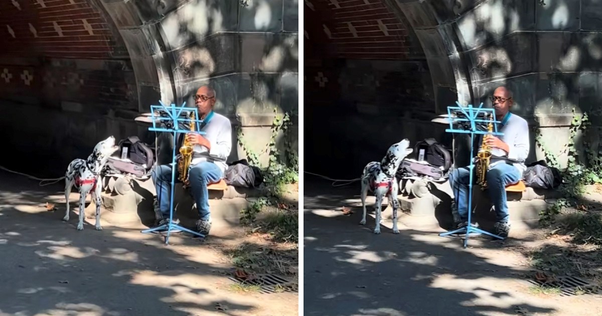 Dalmatiner ukrao pozornost svih u parku. "Zapjevao" dok je muškarac svirao saksofon