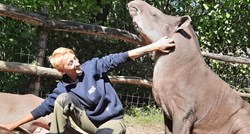 Zagrebački ZOO razotkriva tajne timaritelja i predstavlja manje privlačne životinje