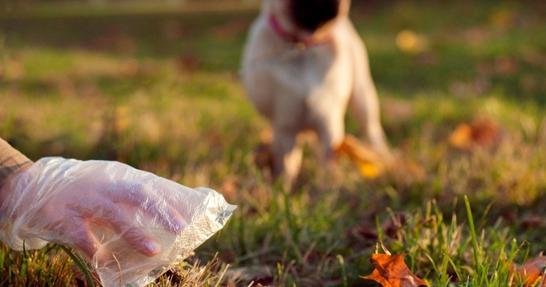 Veterinari objasnili zašto izmet ljubimca ne bismo trebali bacati u WC školjku