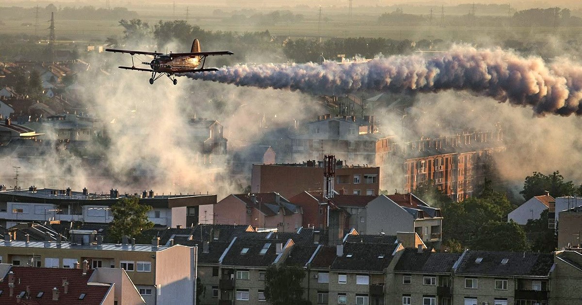 U Osijeku nestali komarci. Koji je pravi razlog i što očekivati dalje?