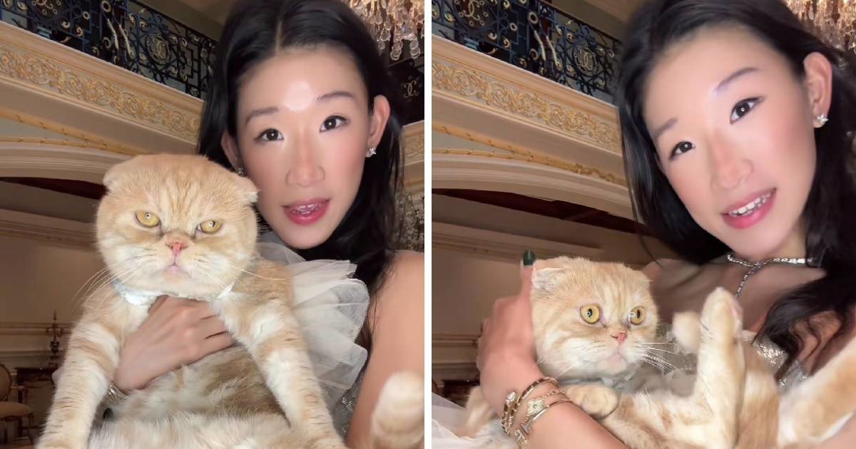 Influencerica objavila da će krstiti mačka: "Loše se ponaša u zadnje vrijeme" 🤣