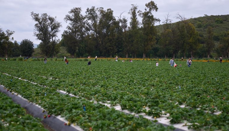 Vijetnam kupuje američke poljoprivredne proizvode vrijedne dvije milijarde dolara