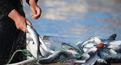 Vrijednost ribarstva lani porasla za 16 posto