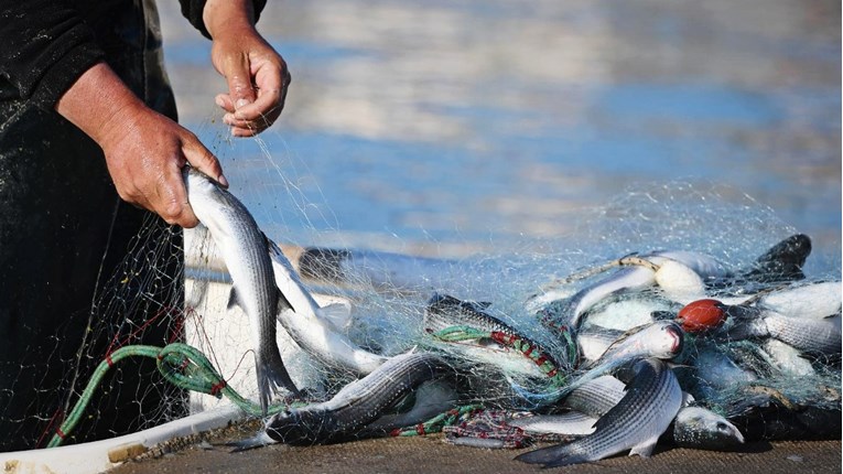 Proizvodnja slatkovodne ribe lani porasla za gotovo 50 posto