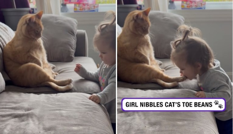 VIDEO Maca je vidno neraspoložena: Snimka mačke i bebe koja ju želi ugristi je hit
