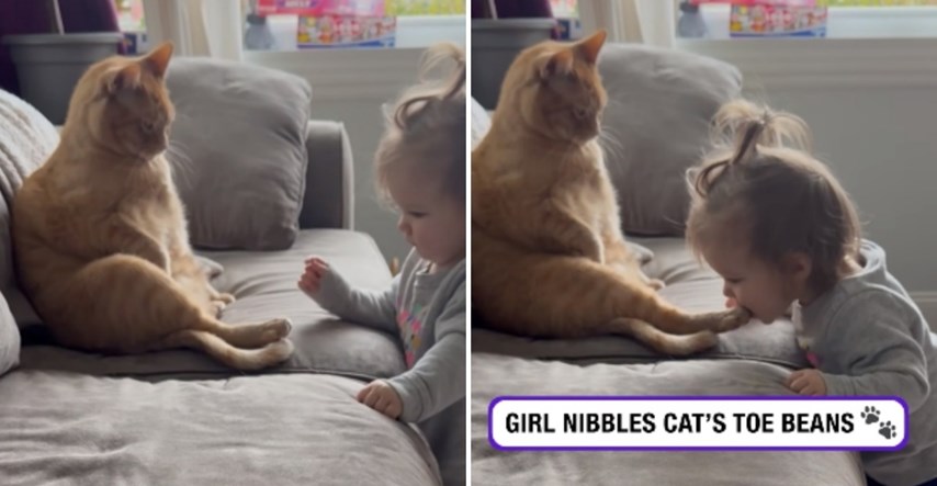 VIDEO Maca je vidno neraspoložena: Snimka mačke i bebe koja ju želi ugristi je hit