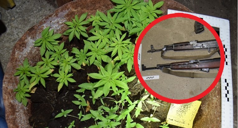 Kod 62-godišnjaka iz Slavonskog Broda nađeno sto stabljika marihuane, imao i oružje