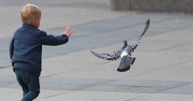 Simpatična igra dječaka i golubova privukla pažnju prolaznika u centru Zagreba