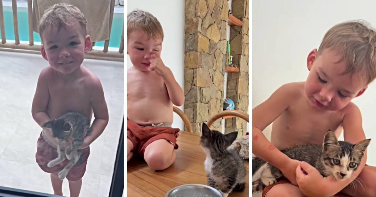 Dječak u Indoneziji pronašao mačića i donio ga mami, video je viralan