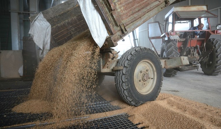Rusija razmatra ograničenje izvoza žitarica zbog epidemije