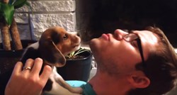 VIDEO Preslatko štene uči zavijati uz pomoć svog vlasnika