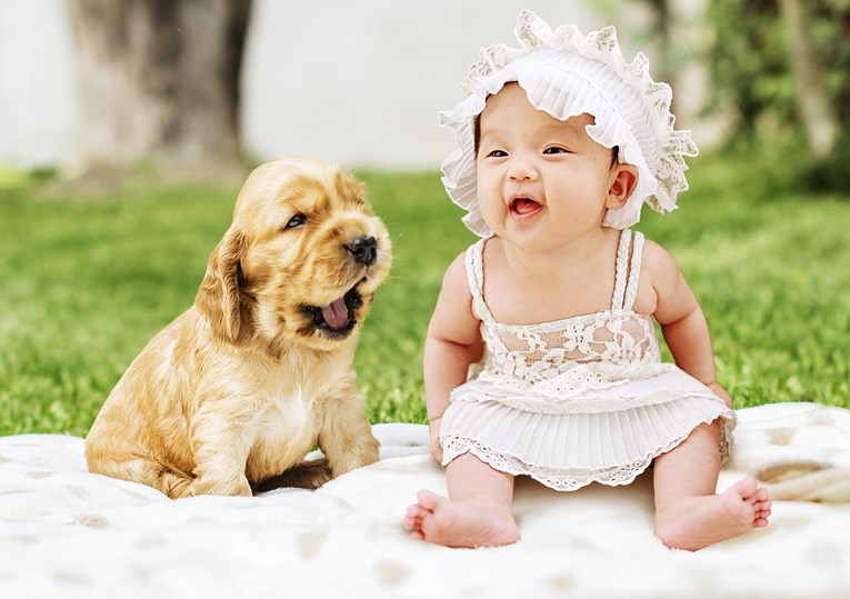 Psi na upoznavanju s bebama svojih vlasnika izgledaju najslađe na svijetu