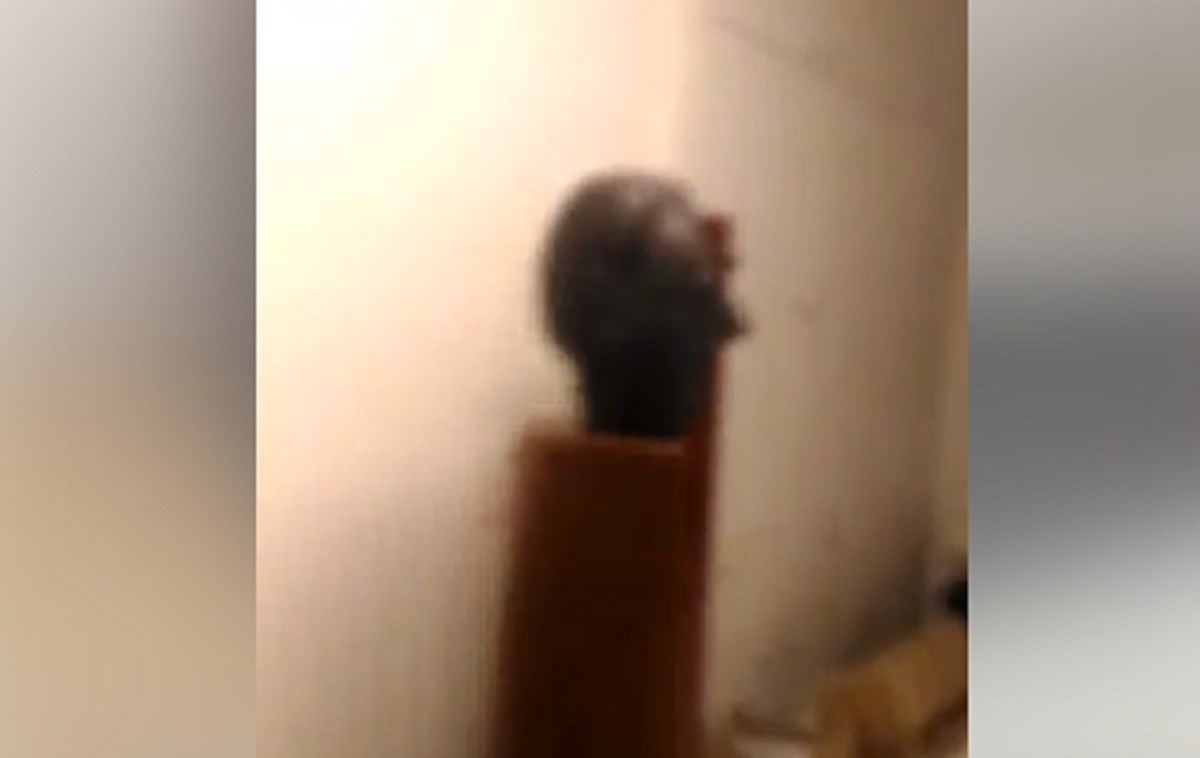 Širi se snimka iz provaljenih prostora HDZ-a, mladić se svađa s bistom Tuđmana