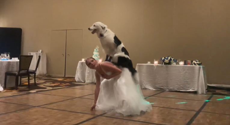 Mladenka prvi ples otplesala sa svojim psom i oduševila cijeli svijet