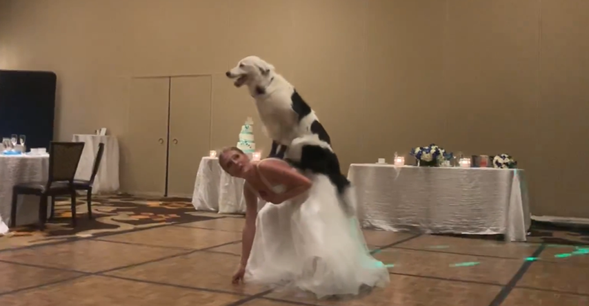 Mladenka prvi ples otplesala sa svojim psom i oduševila cijeli svijet