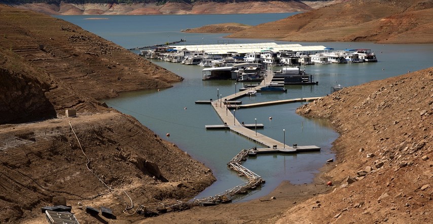 Sićušni daždevnjaci mogli bi zaustaviti podizanje brane u Kaliforniji