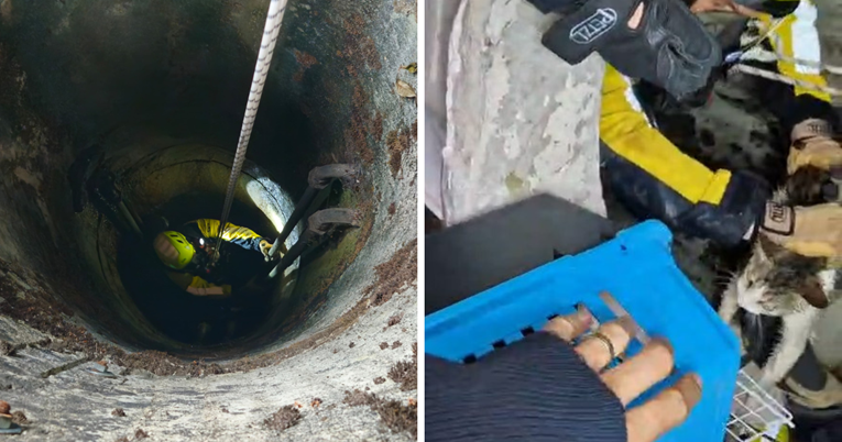 Zagrebački vatrogasci spasili su mačku koja je upala u bunar dubok 23 metra