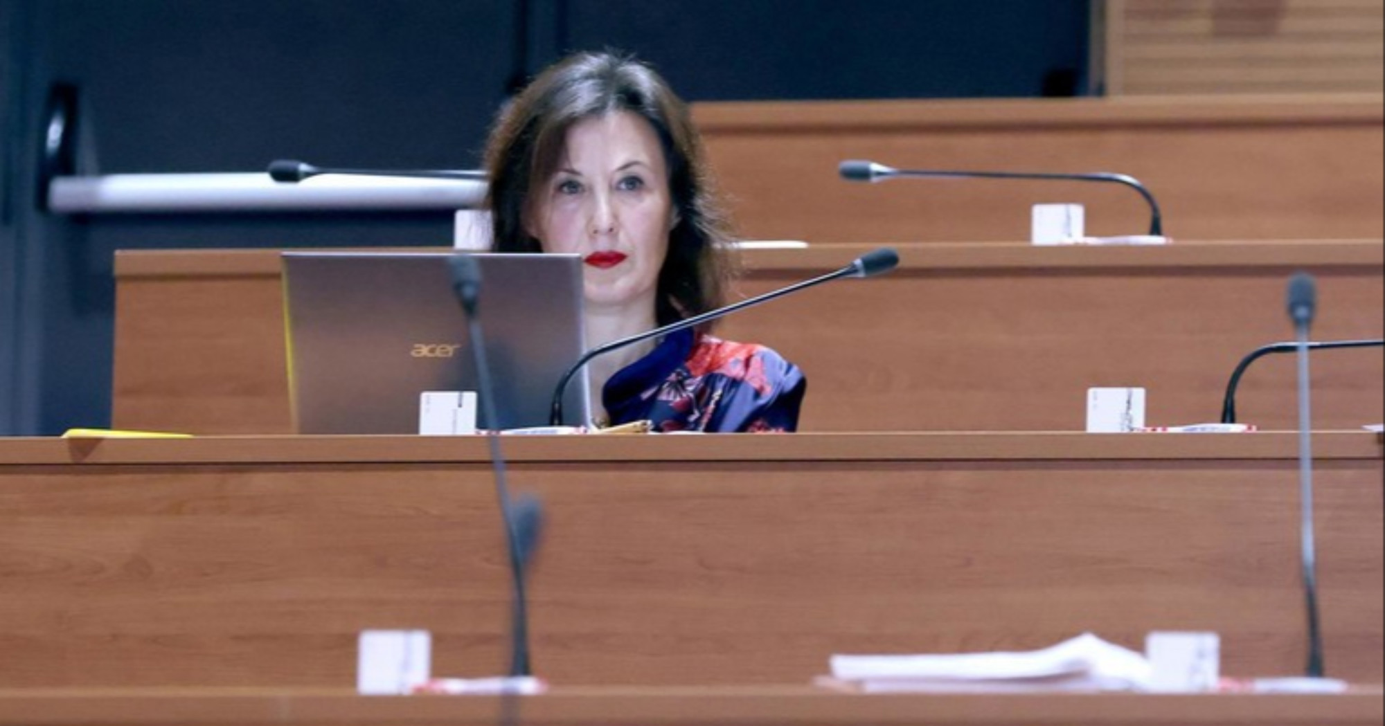 Prijetio Daliji Orešković smrću na Fejsu, našli mu pušku. Dobio uvjetnu kaznu