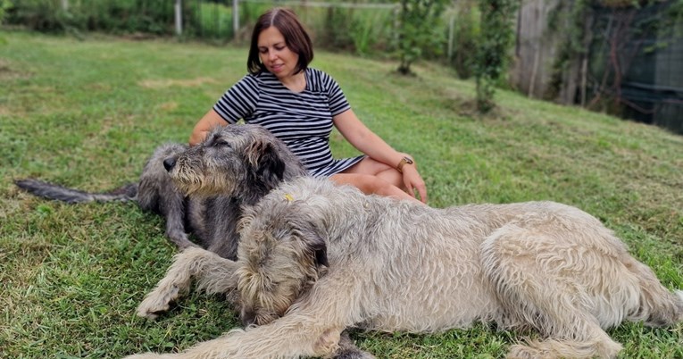 Obitelj Hađar živi sa psima, mačkama, paunovima, zmijama i kokošima... I svi se slažu