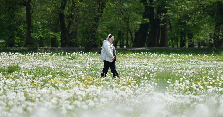 Biljka koju svakodnevno viđamo, a pomaže u detoksikaciji i probavi