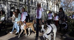 Španjolski grad uvodi porez na pse, naplata kreće početkom iduće godine