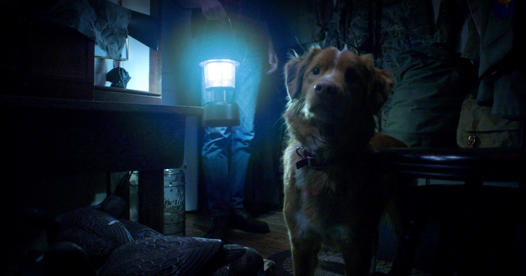 Horor iz pseće perspektive ima 100% pozitivnih ocjena. Uskoro stiže na streaming