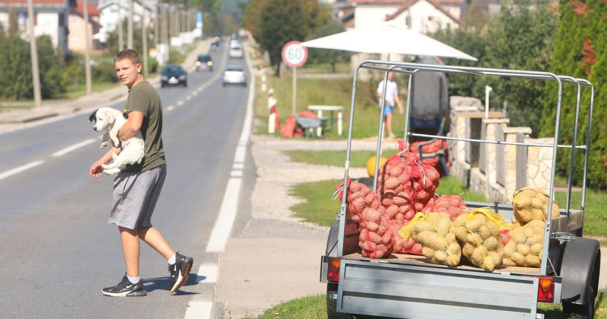 HSS prekosutra u Zagrebu besplatno dijeli lički krumpir