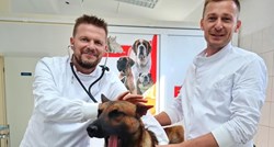 Psi i mačke iz Solina sad imaju novu veterinarsku ambulantu