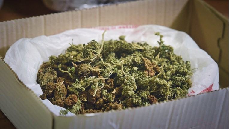 Na Trešnjevci kod 24-godišnjaka pronađeno 1,6 kg marihuane i 429 grama amfetamina