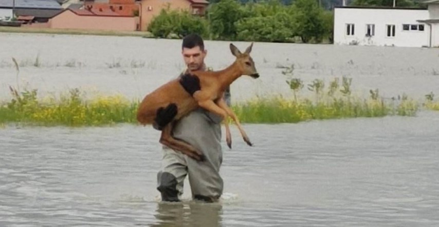 Mladi vatrogasac u Karlovcu u rukama nosio srnu kroz poplavu i spasio je od utapanja