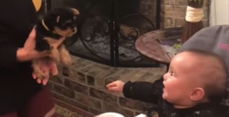 Beba je prvi put vidjela štene, njezina reakcija je najslađa na svijetu