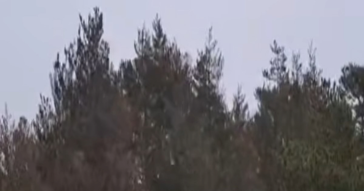 VIDEO Na Braču padao snijeg