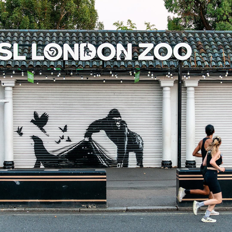 Nakon što su mu uništili prošlo djelo, Banksy naslikao novo na londonskom ZOO-u