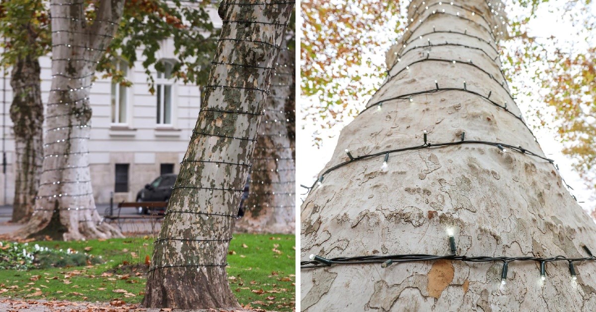 Zasvijetlile prve adventske lampice u parku Zrinjevac