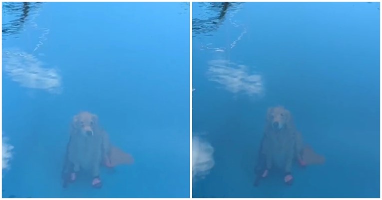 "Pustio sam psa na dnu bazena": Širi se viralna snimka koja je izbezumila ljude 