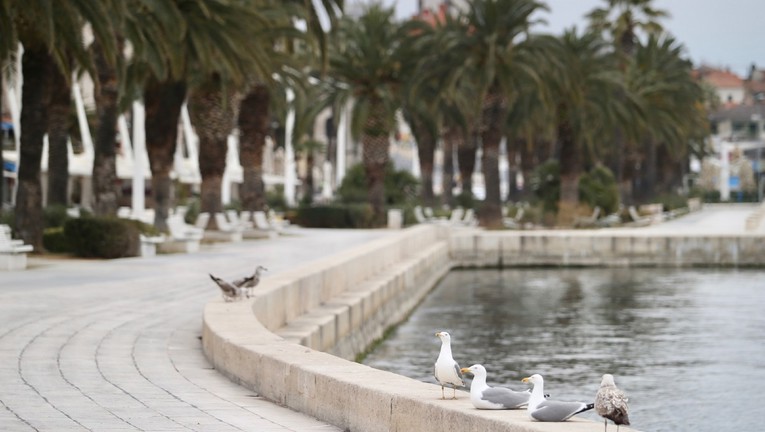 Hrvatska turistička zajednica: Koronavirus je jako negativno utjecao, prometa nema