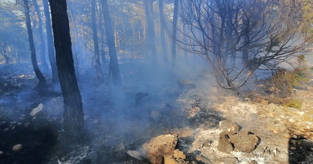 Na Cresu slavili pa raketom zapalili šumu. Vatrogasci: Nemojte koristiti pirotehniku