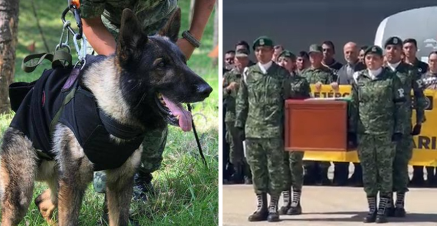Sahranjen potražni pas Proteo koji je uginuo tijekom spašavanja u Turskoj