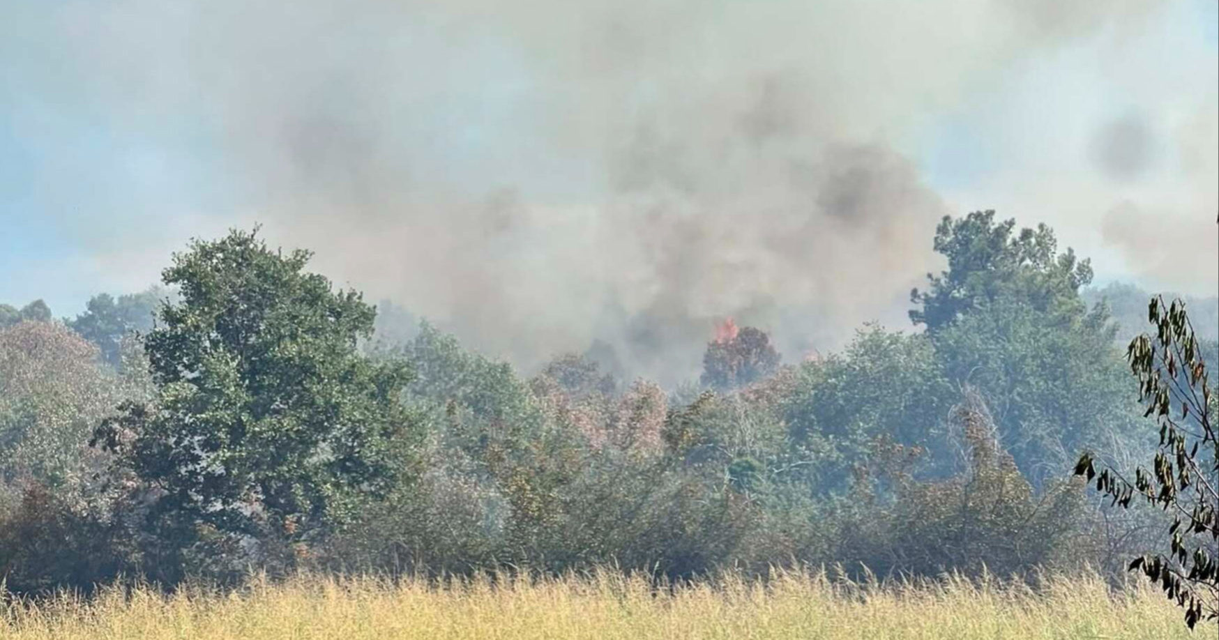 Četvrti dan zaredom gori na istoj lokaciji u Istri. Policija istražuje požare