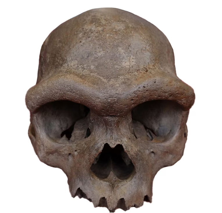 Najveći misterij ljudske evolucije počeo se rasplitati