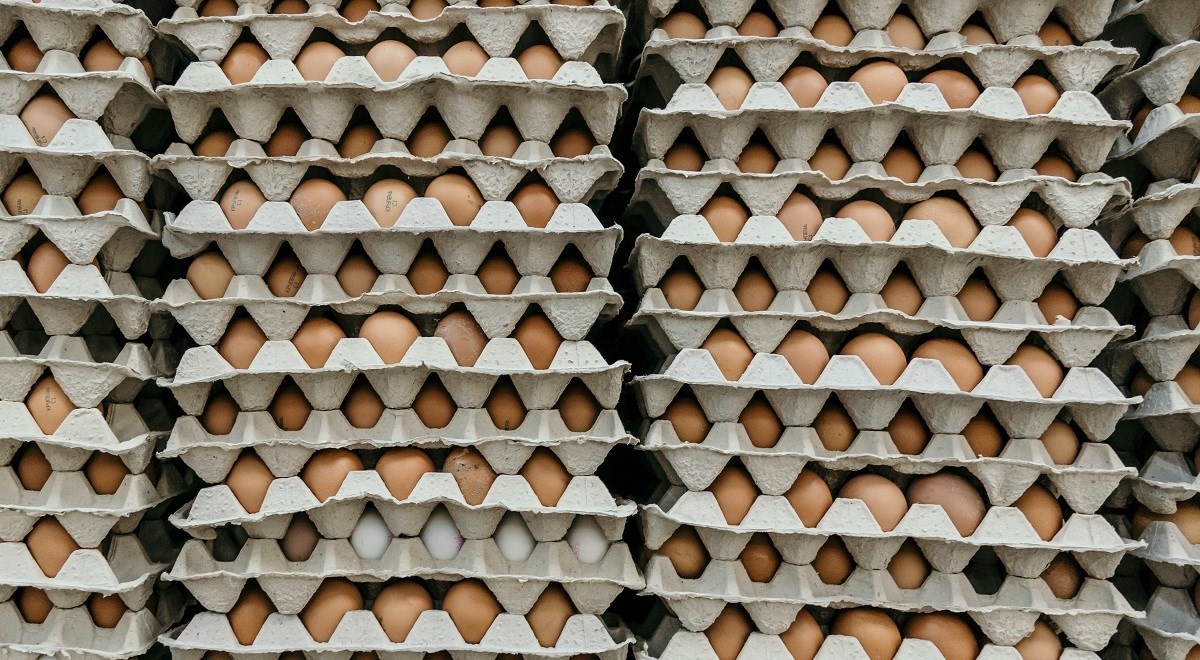 Eurostat: Jaja u EU od početka 2023. poskupjela 60 posto